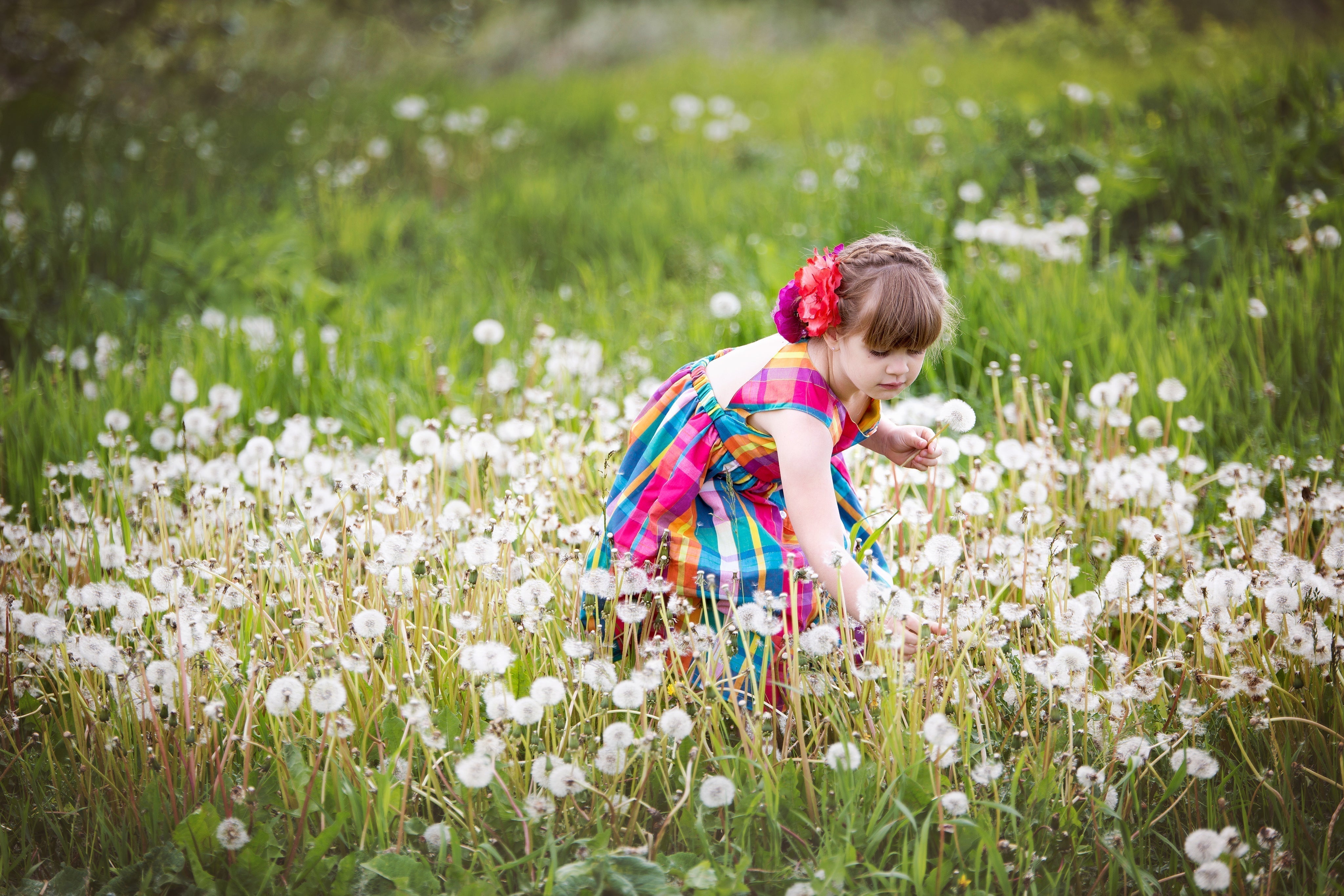 A happy girl picking flowers in a field of dandelions