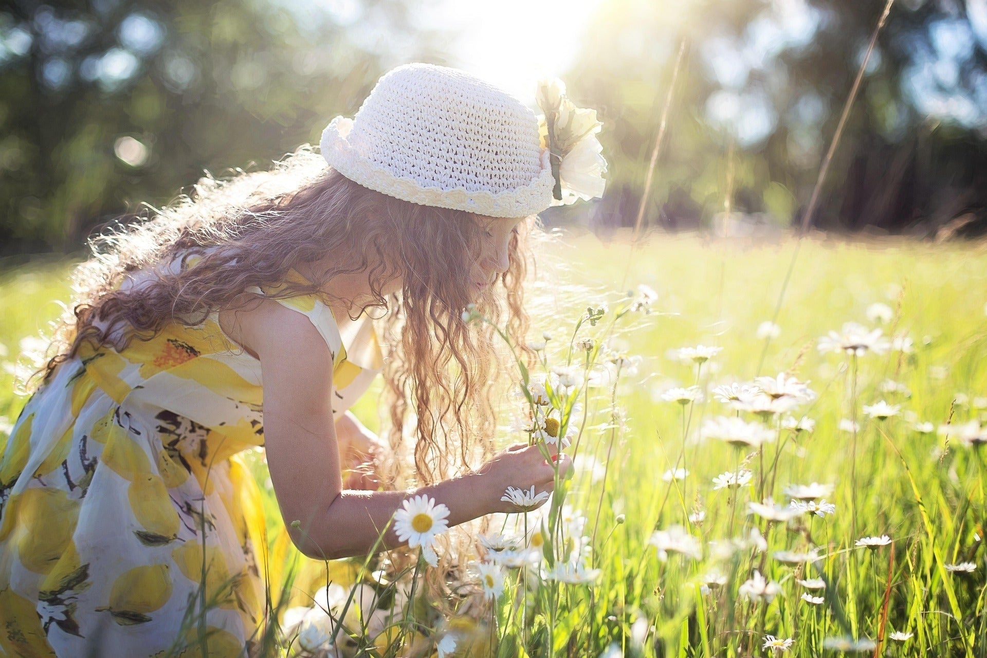 Small Wins : Fresh Energy