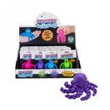 Sensory Octopus