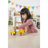 EverEarth Pull Along Duck and Egg