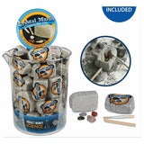 Gemstone Dig | Mini Geology Kit