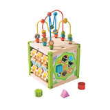 EverEarth My First Multi-Play Activity Cube