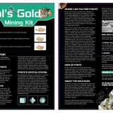 Dig and Discover | Fool's Gold Mining Kit