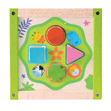 EverEarth My First Multi-Play Activity Cube