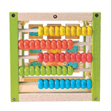 EverEarth My First Multi-Play Activity Cube