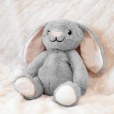 Toasty Hugs | Bailey Bunny