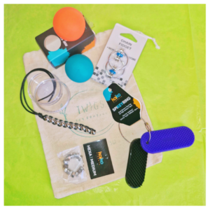 TWIGS Sensory Resource KIt - Boardroom Deluxe